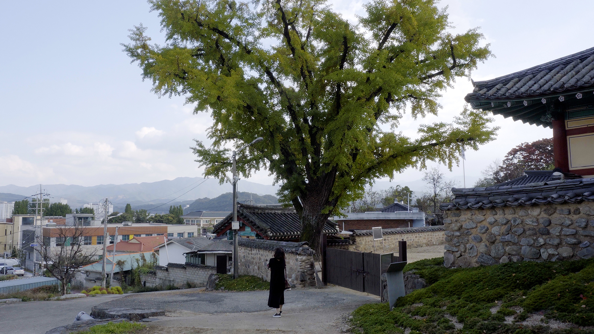 「영동」, 단채널 비디오, 컬러, 사운드, 8’50’’